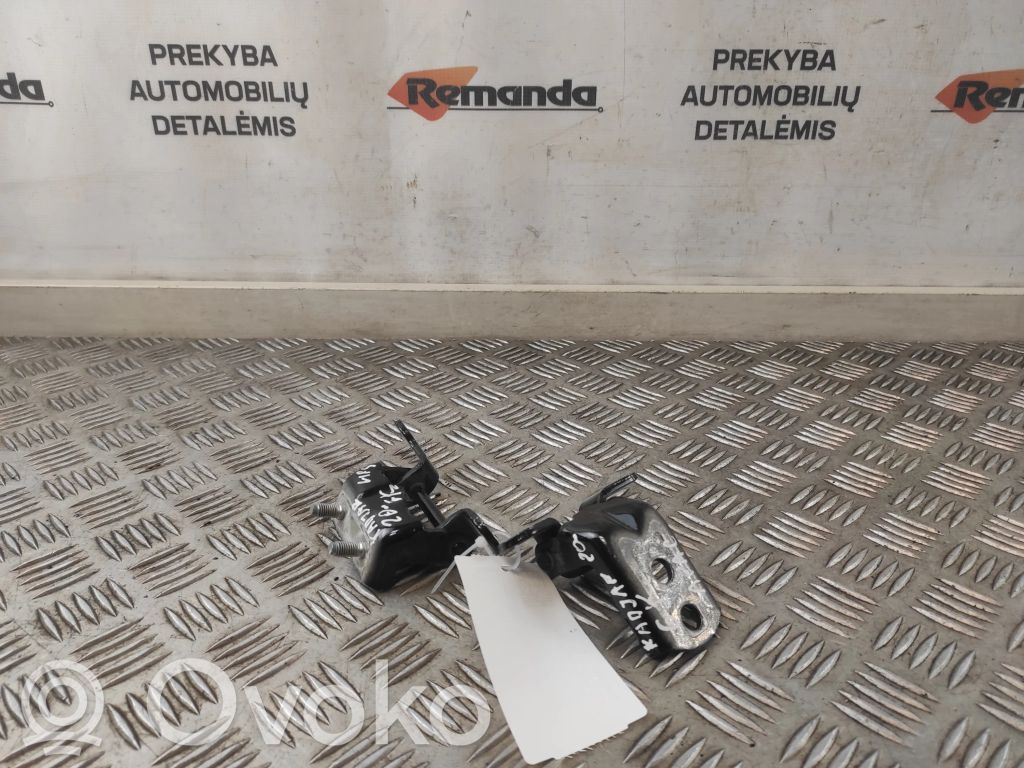 Renault Kadjar Rear door hinge set 