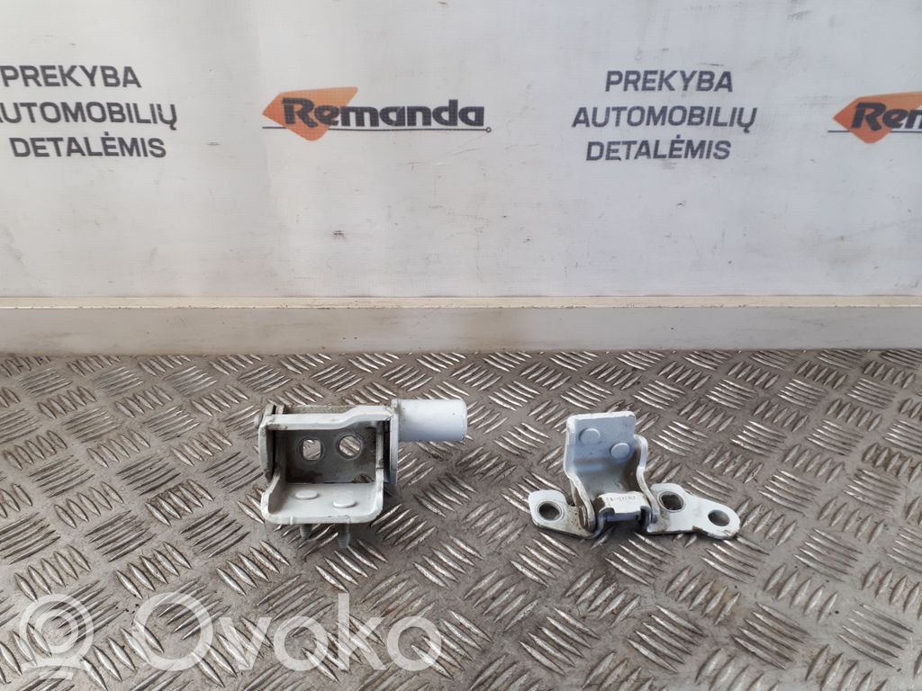 Renault Zoe Rear door hinge set 