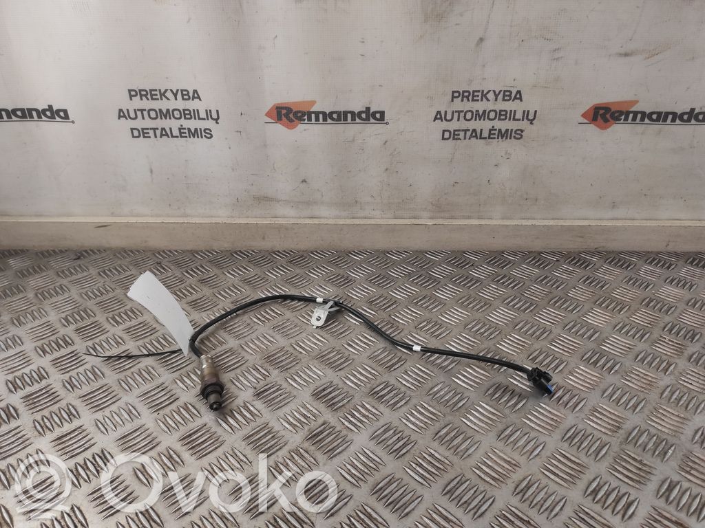 Sonde lambda   LX619G444BB,LX619G444BB
