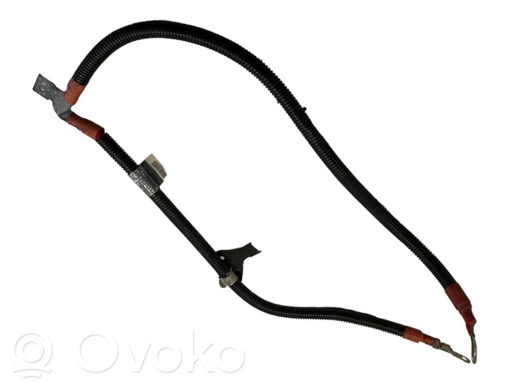 Plusa vads (akumulatora)   7543297
