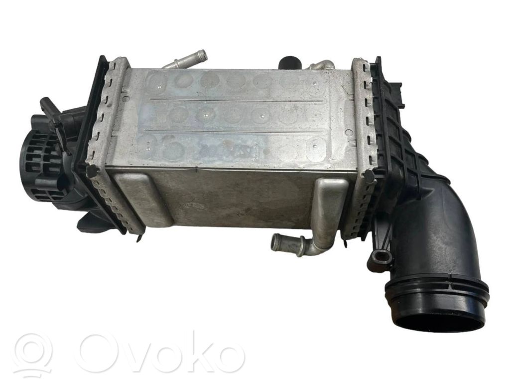 Volkswagen Golf VIII Interkūlerio radiatorius 