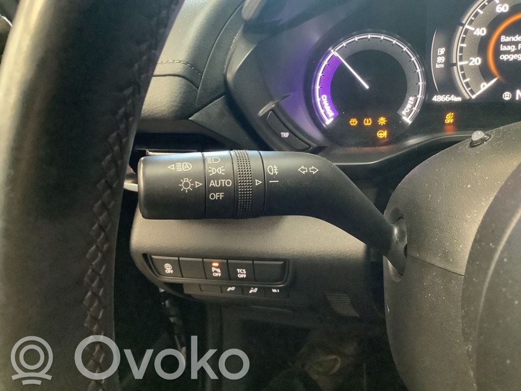Indicator stalk   19D162907,19D162907,19D162907