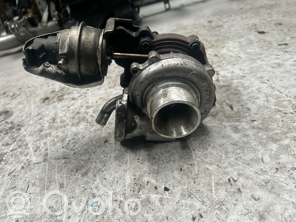 Turbo   55567731