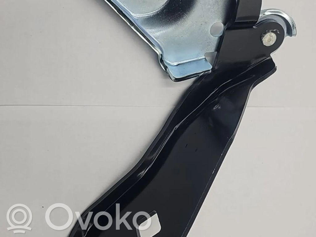 Tesla Model 3 Dzinēja pārsega eņģe (-es) 