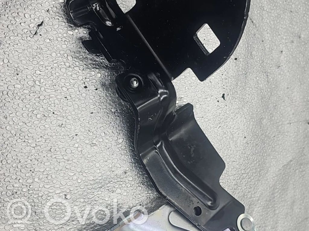 Tesla Model 3 Engine bonnet/hood hinges 