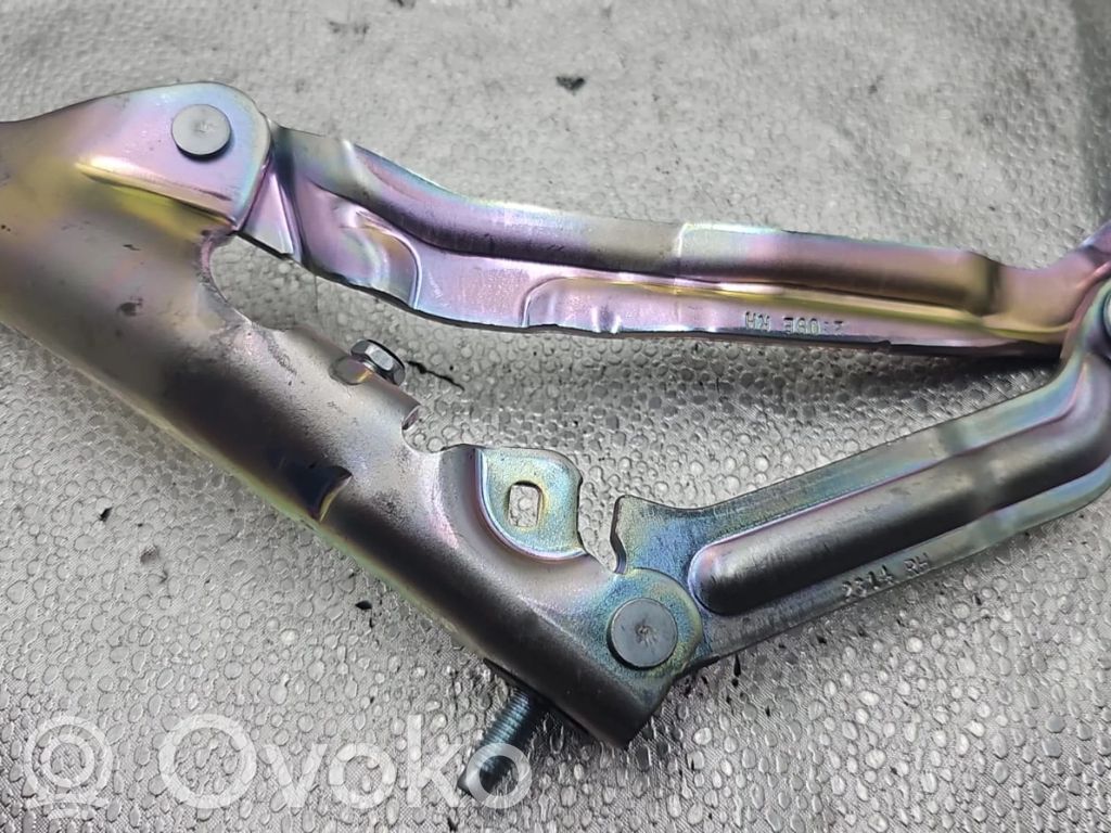 Tesla Model 3 Tailgate/trunk/boot hinge 