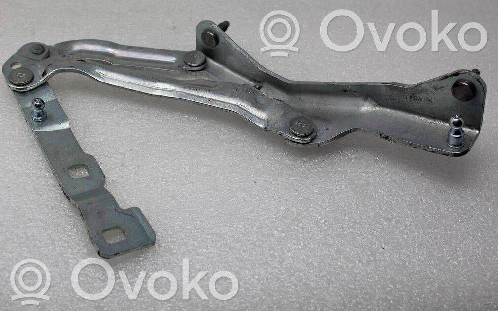 Tesla Model 3 Tailgate/trunk/boot hinge 