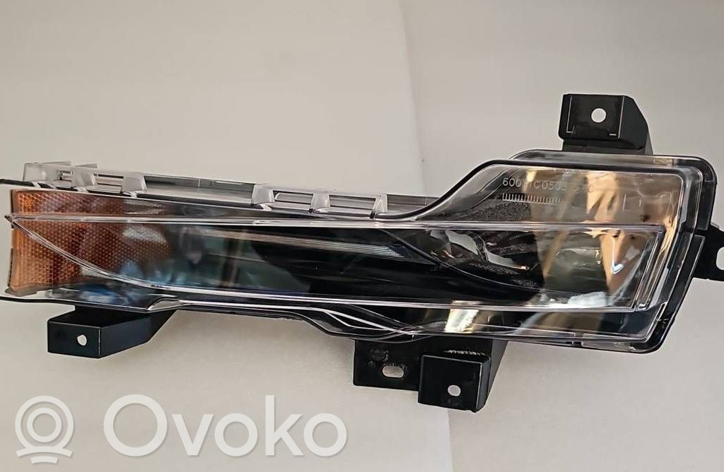 Tesla Model 3 Miglas lukturis priekšā 