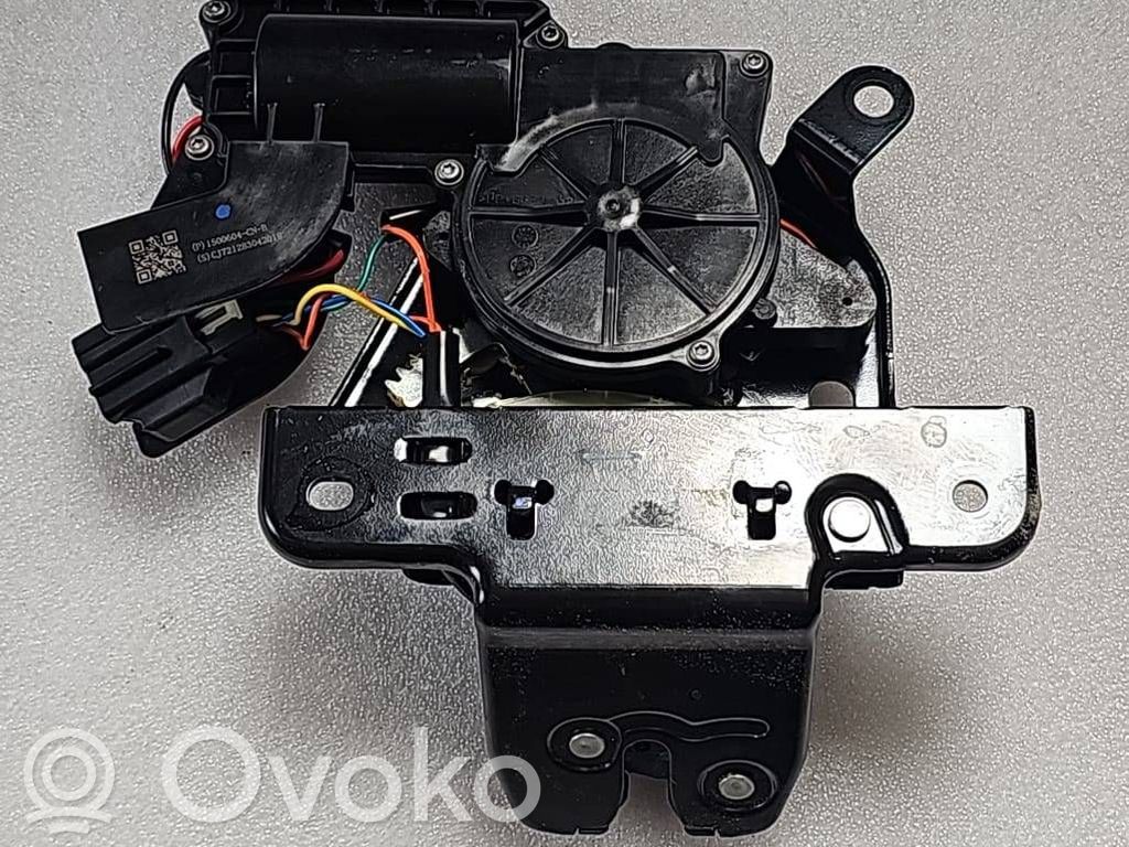 Tailgate/trunk/boot lock/catch/latch   1500604CNB,1500604CNB,1500604