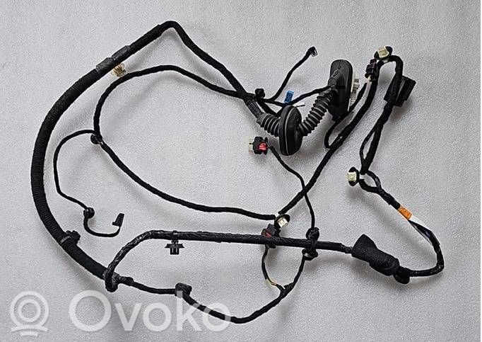 Tesla Model Y Cableado de puerta trasera 