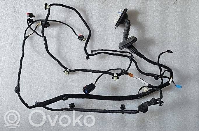 Tesla Model Y Cableado de puerta trasera 