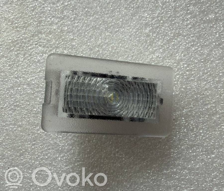 Front door interior light   100715170E,100715170E,1007151