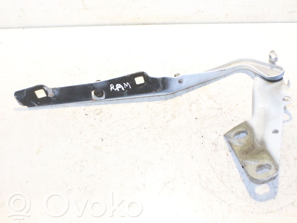 Dodge RAM 1500 DS Engine bonnet/hood hinges 