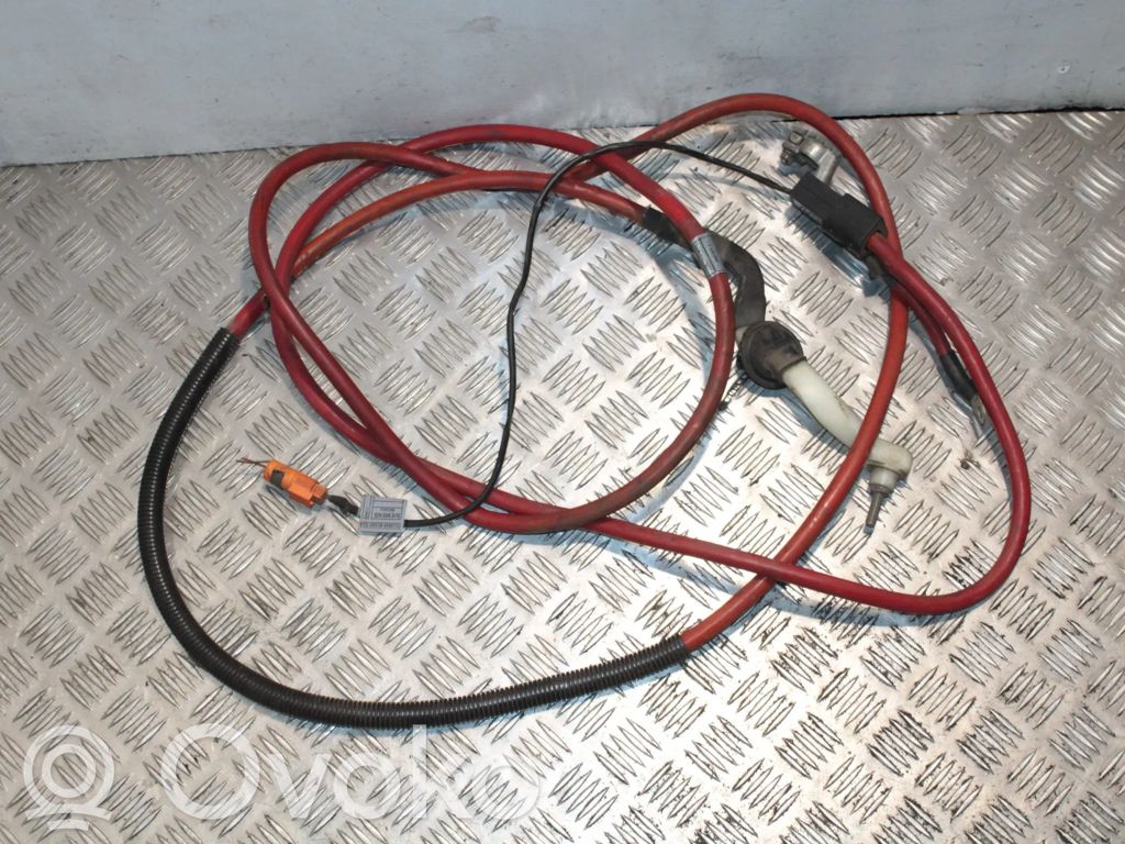 Pluskaapeli (akku)   1436888,1436888