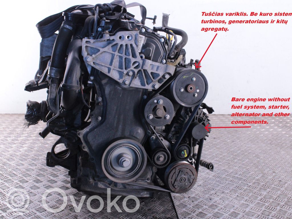 Nissan Primastar Motor 