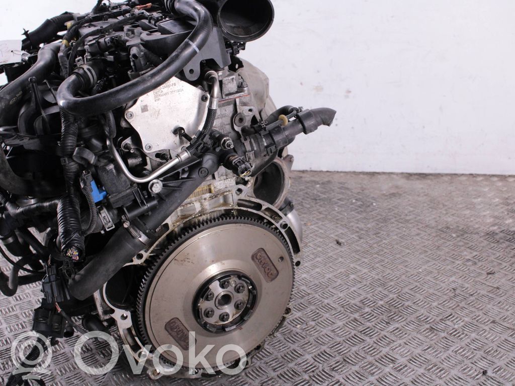 Variklis   B4164T2