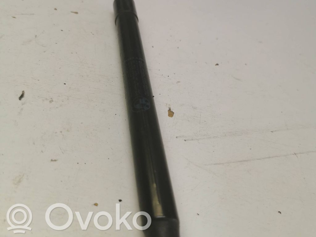 BMW 1 E81 E87 Tailgate/trunk strut/damper 