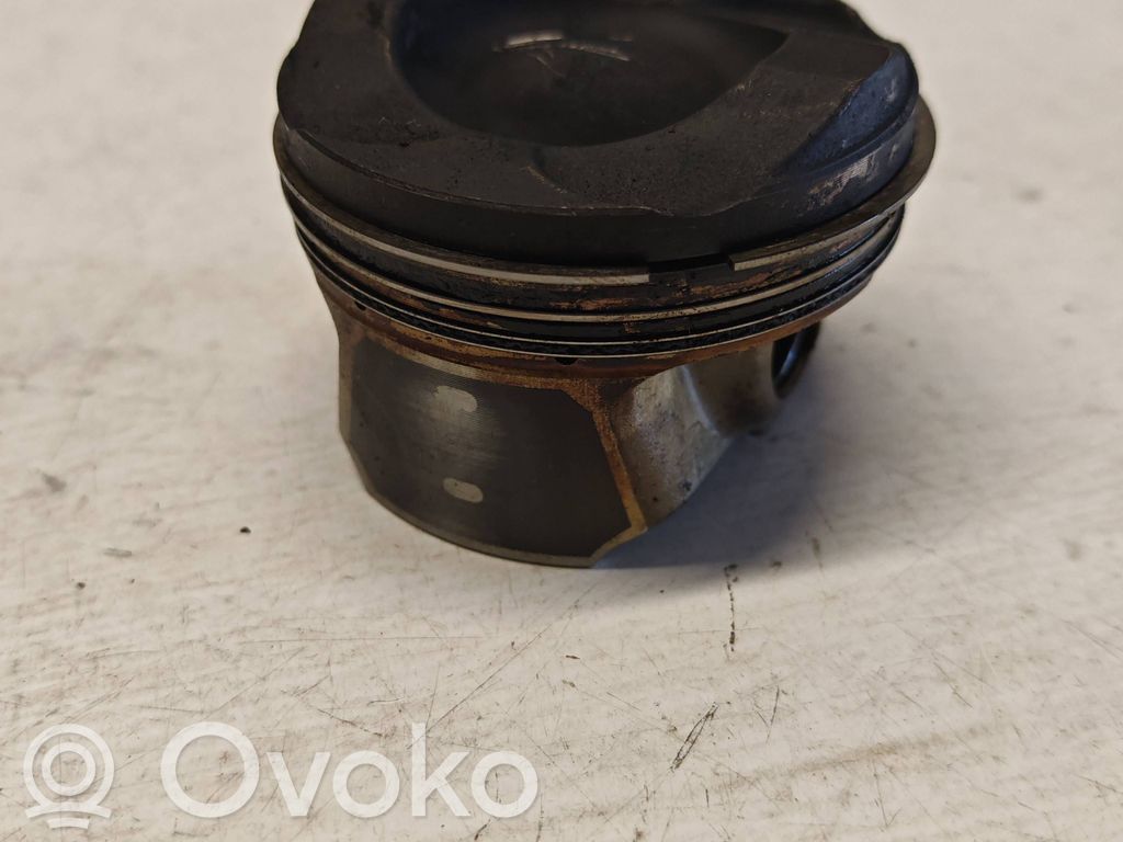 Stūmoklis (-iai)   PK30