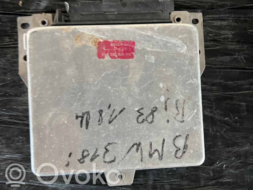 Engine control unit/module   0280000318,280000318