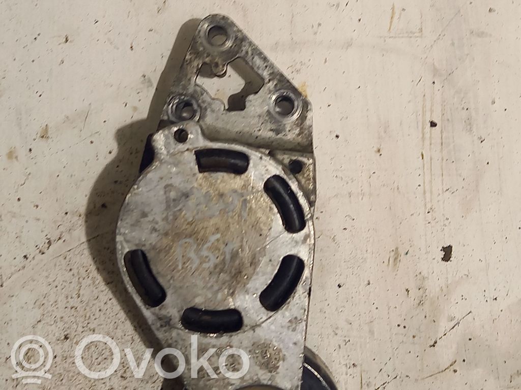 Volkswagen PASSAT B5.5 Tensor de la correa del alternador 