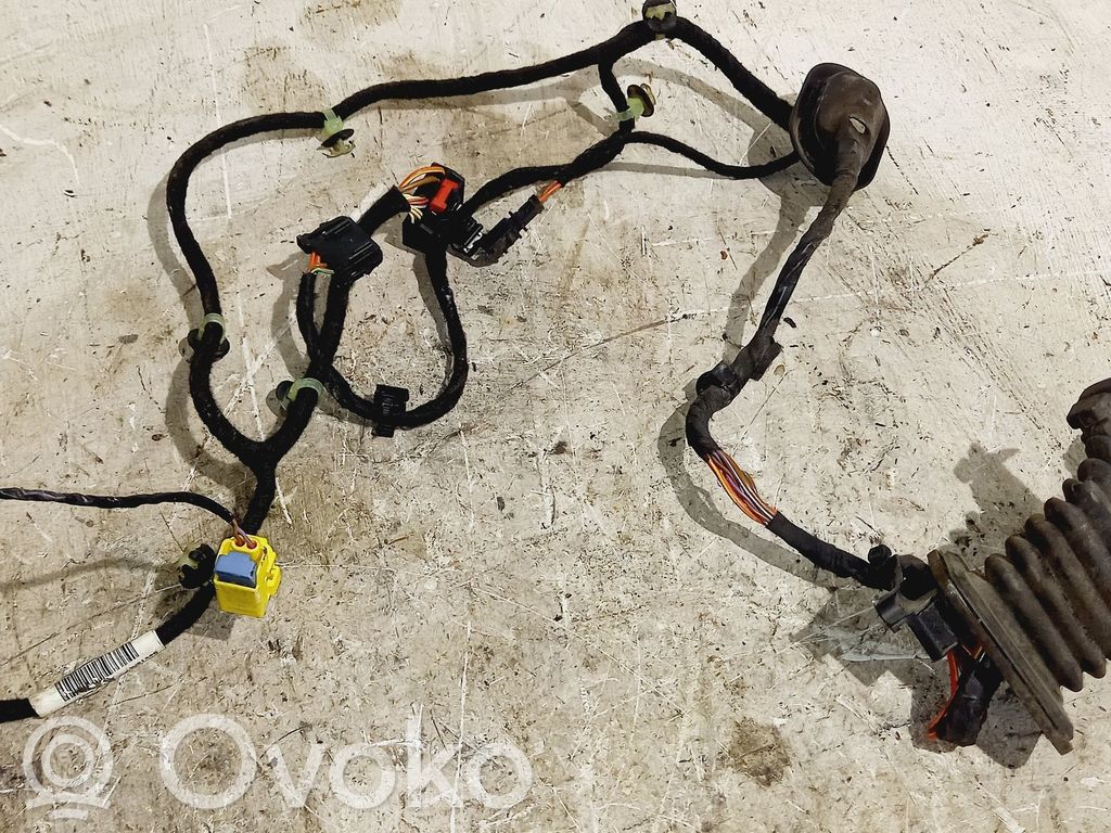 Volkswagen PASSAT B6 Wiązka przewodów drzwi przednich 