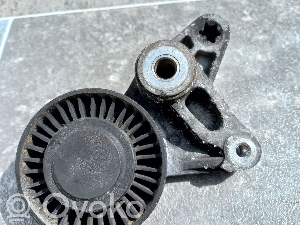 Audi A4 S4 B8 8K Generatoriaus diržo įtempėjas 