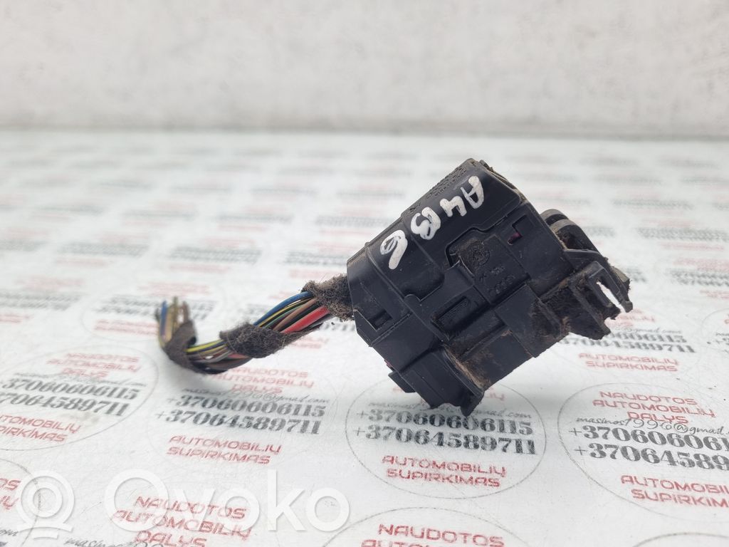 Audi A4 S4 B6 8E 8H Cableado de puerta trasera 
