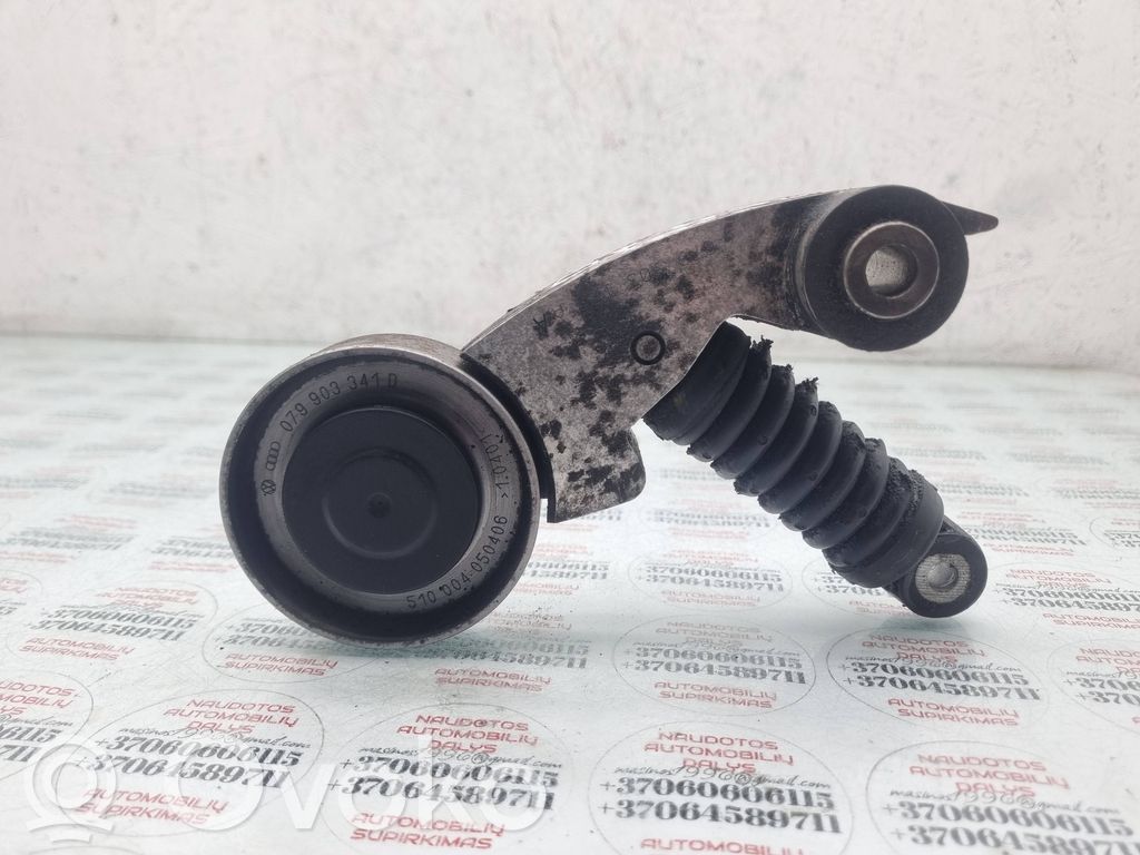 Napinacz paska wielorowkowego / Alternatora   079903341D,079903341