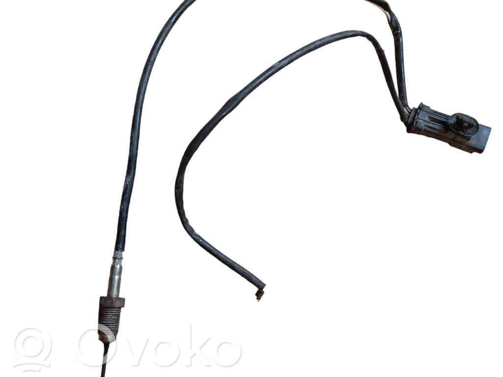 Citroen Jumpy Izplūdes gāzu temperatūras sensors 