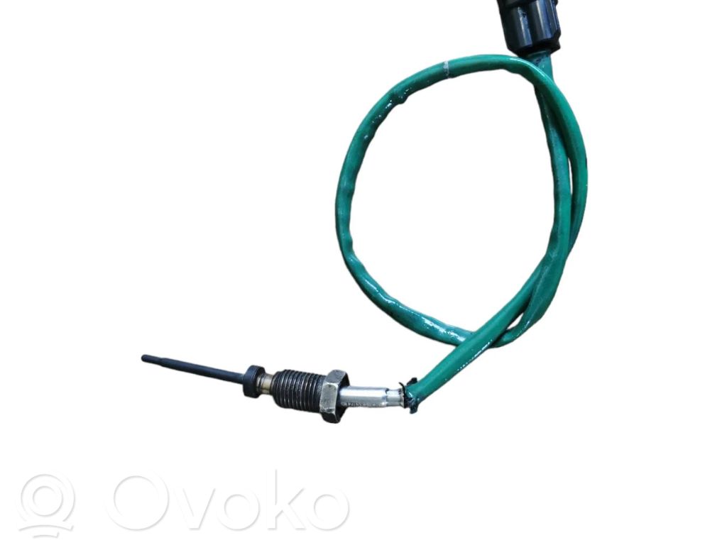 Ford Focus Exhaust gas temperature sensor 