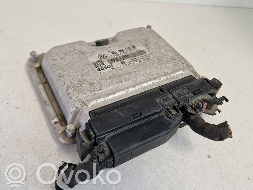 Engine control unit/module   036906032AP,0261208828,1039S08067
