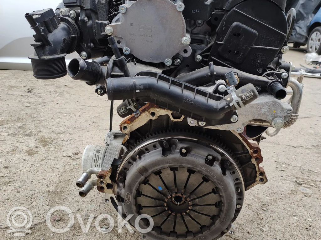 Ford Fiesta Двигатель 
