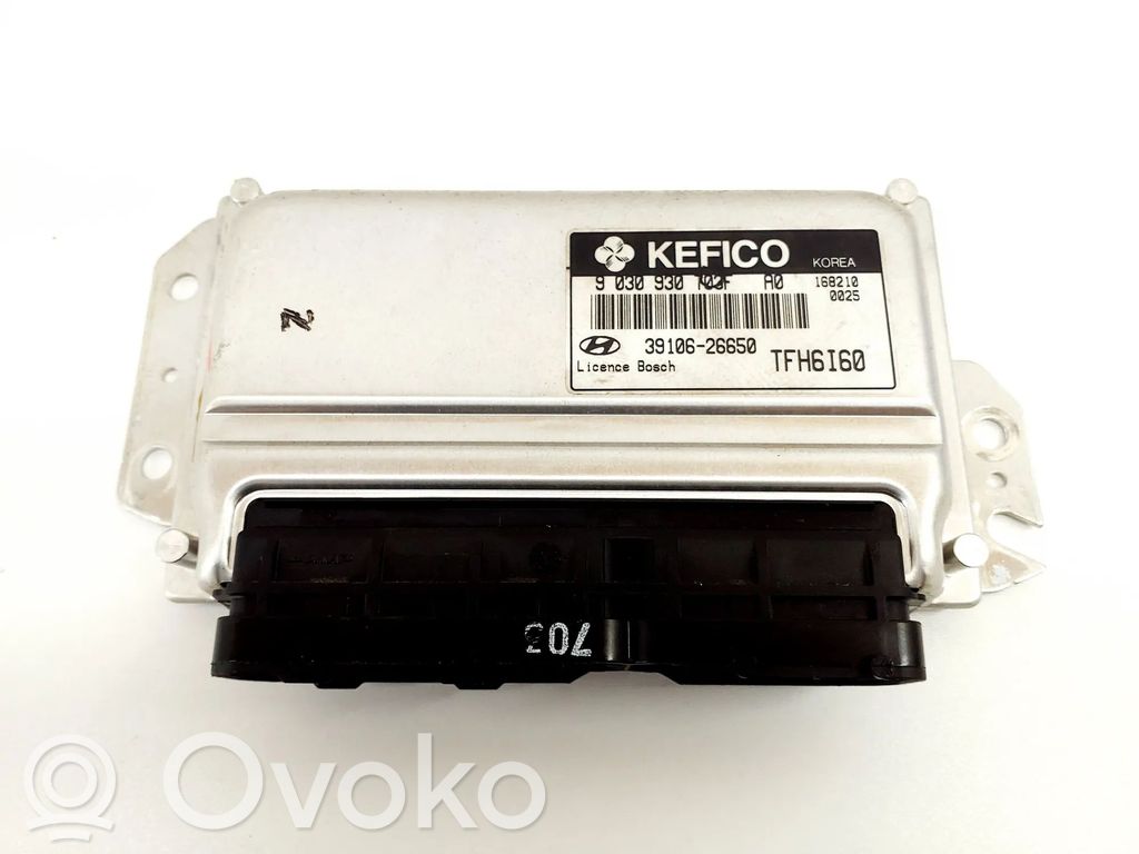 Hyundai Getz Engine control unit/module 