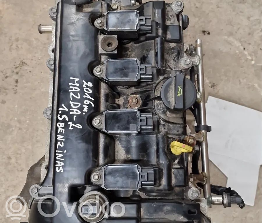 Variklis   P501