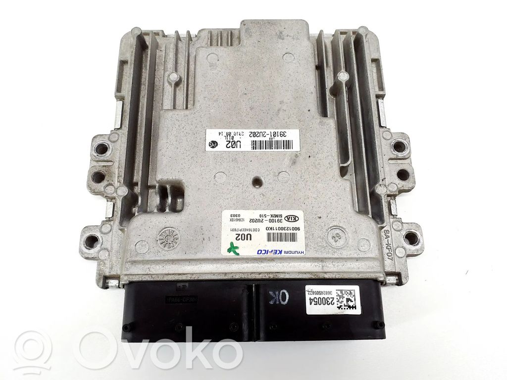 Engine control unit/module   391002U202