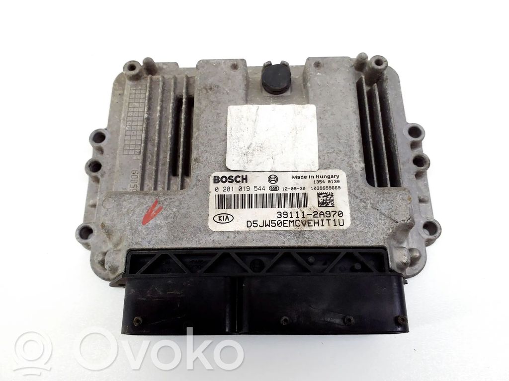 Engine control unit/module   391112A970