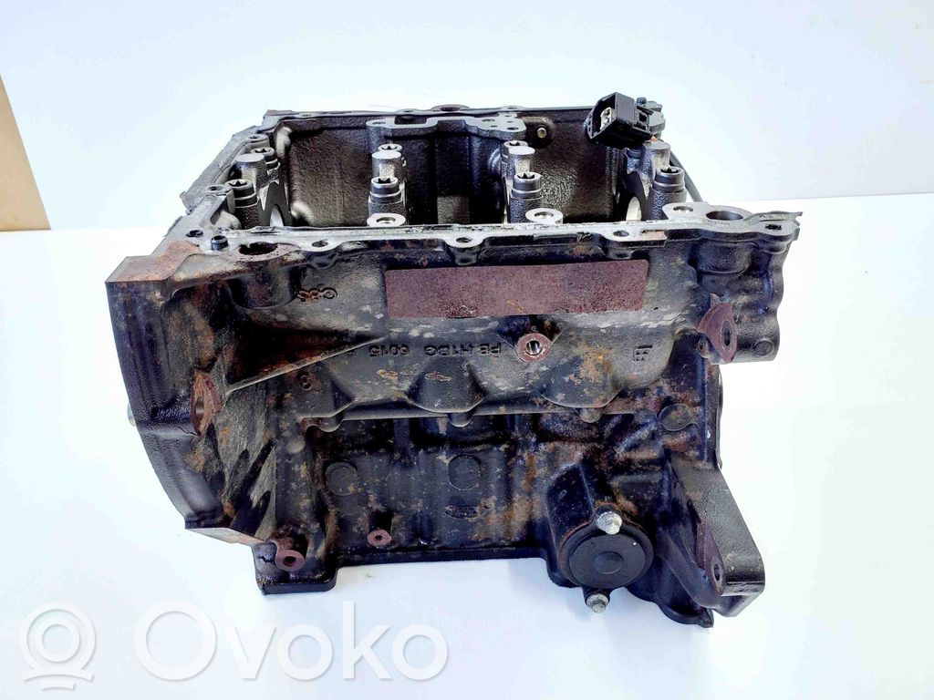 Ford Fiesta Bloque de motor 