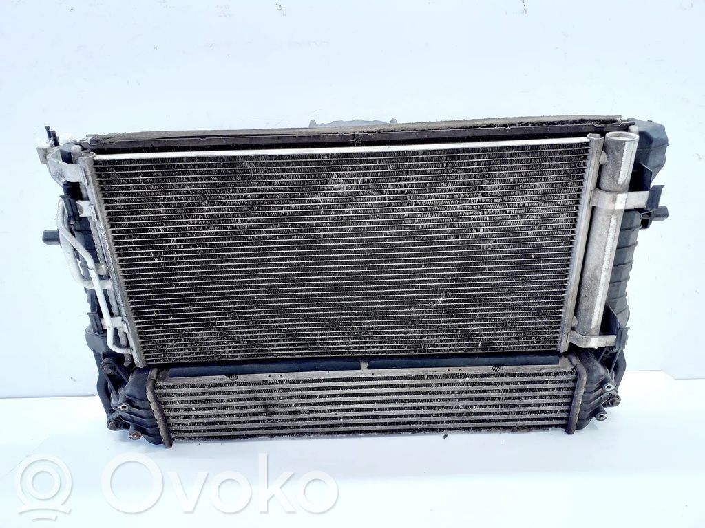 Radiator set   25310M6300,25304J7300