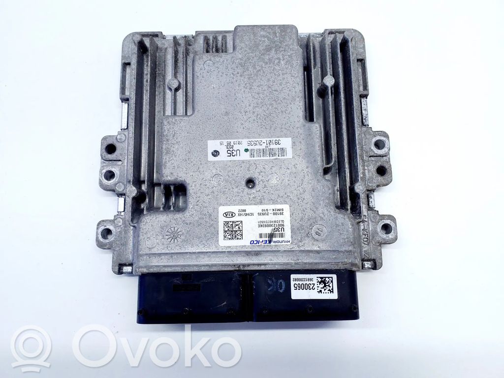 KIA Sportage Engine control unit/module 
