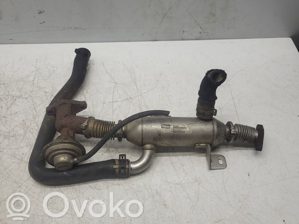 Peugeot 406 Valvola di raffreddamento EGR 