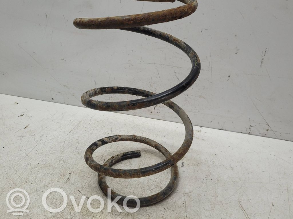 Front coil spring