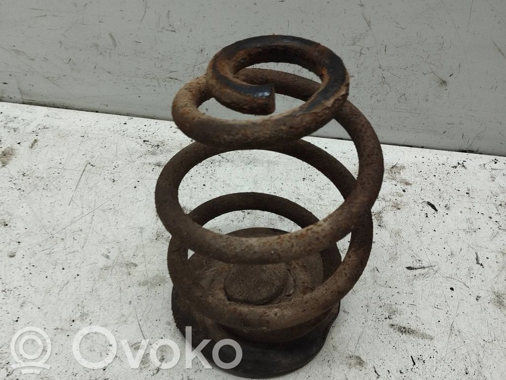 Rear coil spring