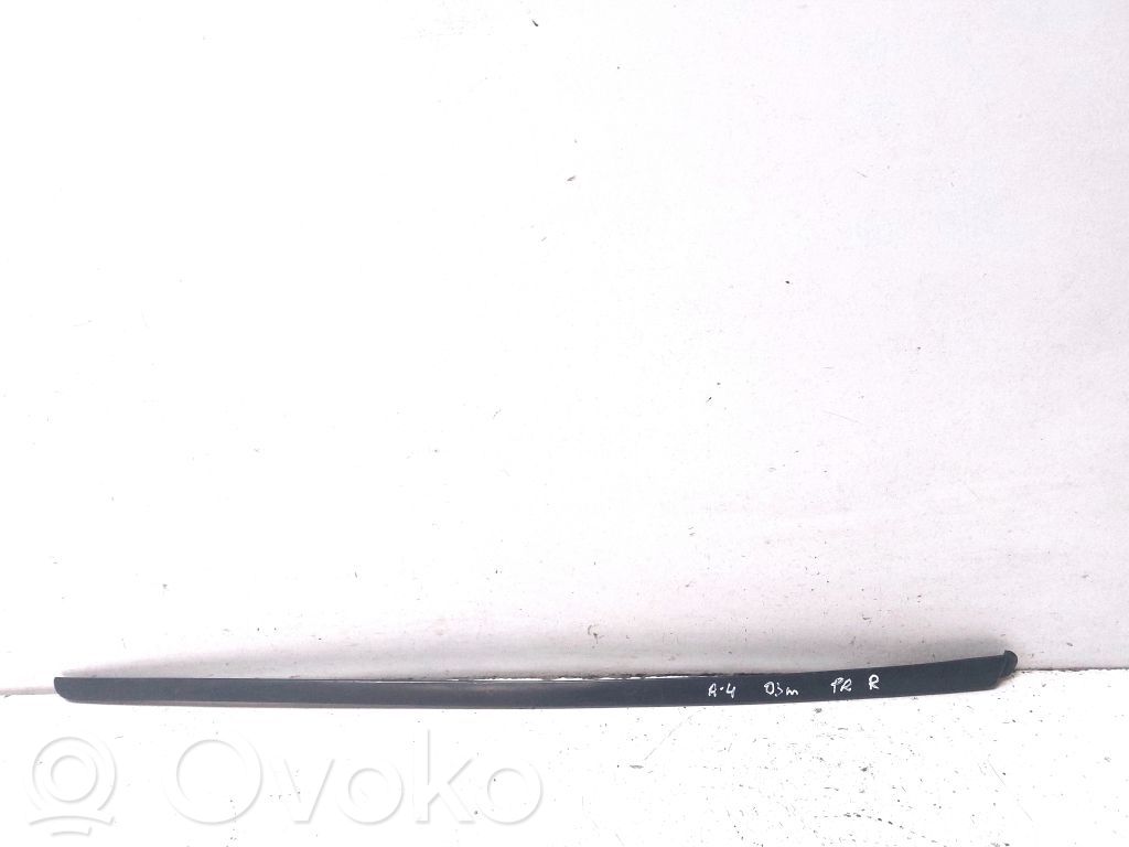 Audi A4 S4 B7 8E 8H Windshield trim 