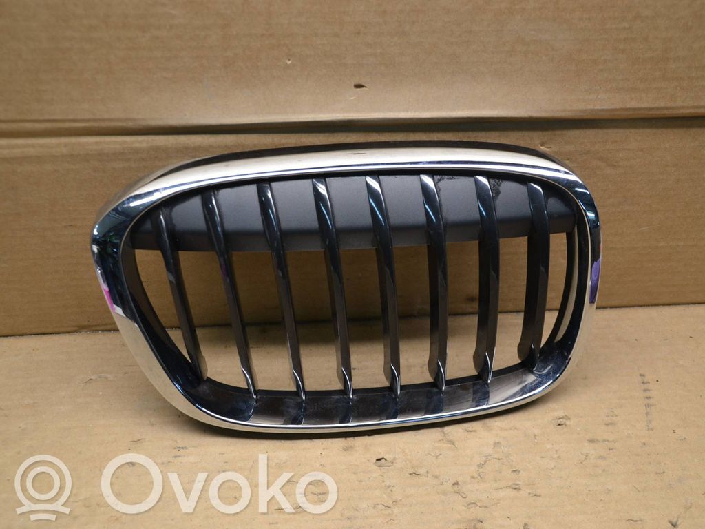 BMW X1 F48 F49 Front grill 