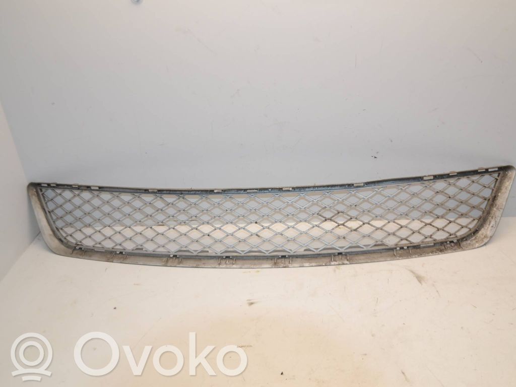 BMW X5 E70 Front bumper lower grill 