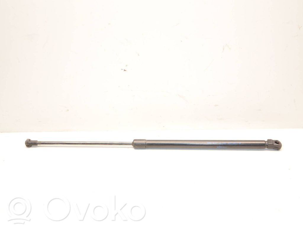 Amortyzator klapy tylnej bagażnika   904504EA0A,10813