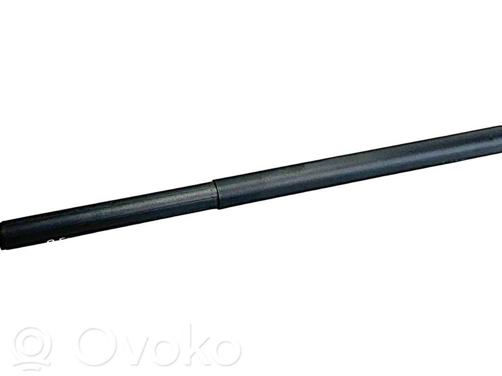 Amortyzator klapy tylnej bagażnika   81841CV100,50900