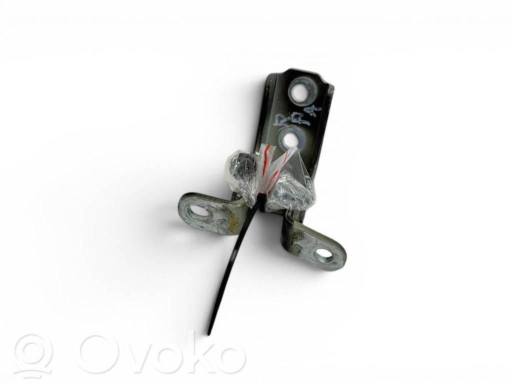 KIA EV6 Front door lower hinge 
