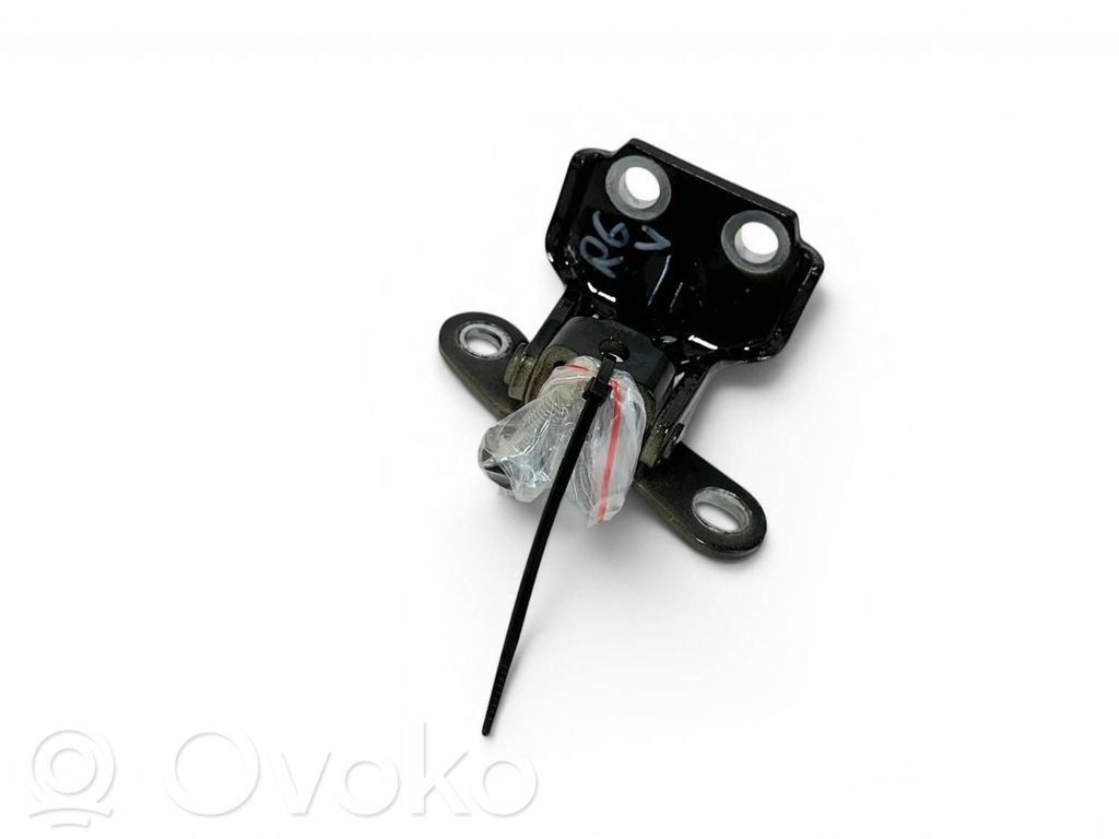 KIA EV6 Rear door upper hinge 