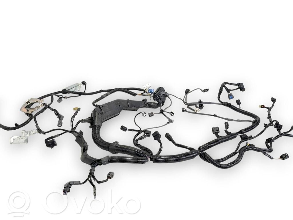 Engine installation wiring loom   BCKA67P21,52381